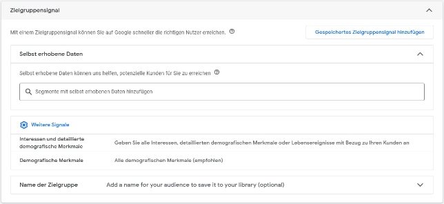 Google Ads Performance Max Kampagnen optimieren: Ziegruppensignal erstellen
