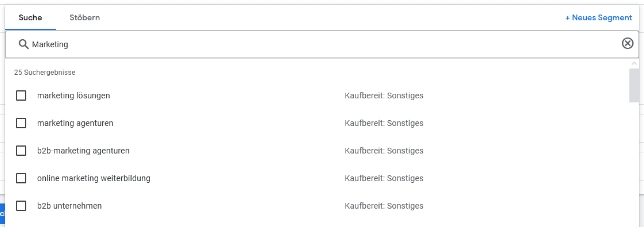 Google Ads Performance Max Kampagnen optimieren: Segmente mit Interessen und demografischen Merkmalen