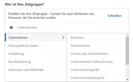 LinkedIn Ads Kampagnenmanager Attribute von Unternehmen LinkedIn Ads Targeting: LinkedIn Ads Kampagnenmanager Attribute von Unternehmen